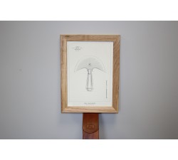 ILLUSTRAZIONE – 8 POSTER