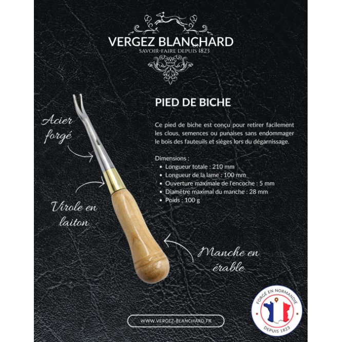 PIED DE BICHE TAPISSIER